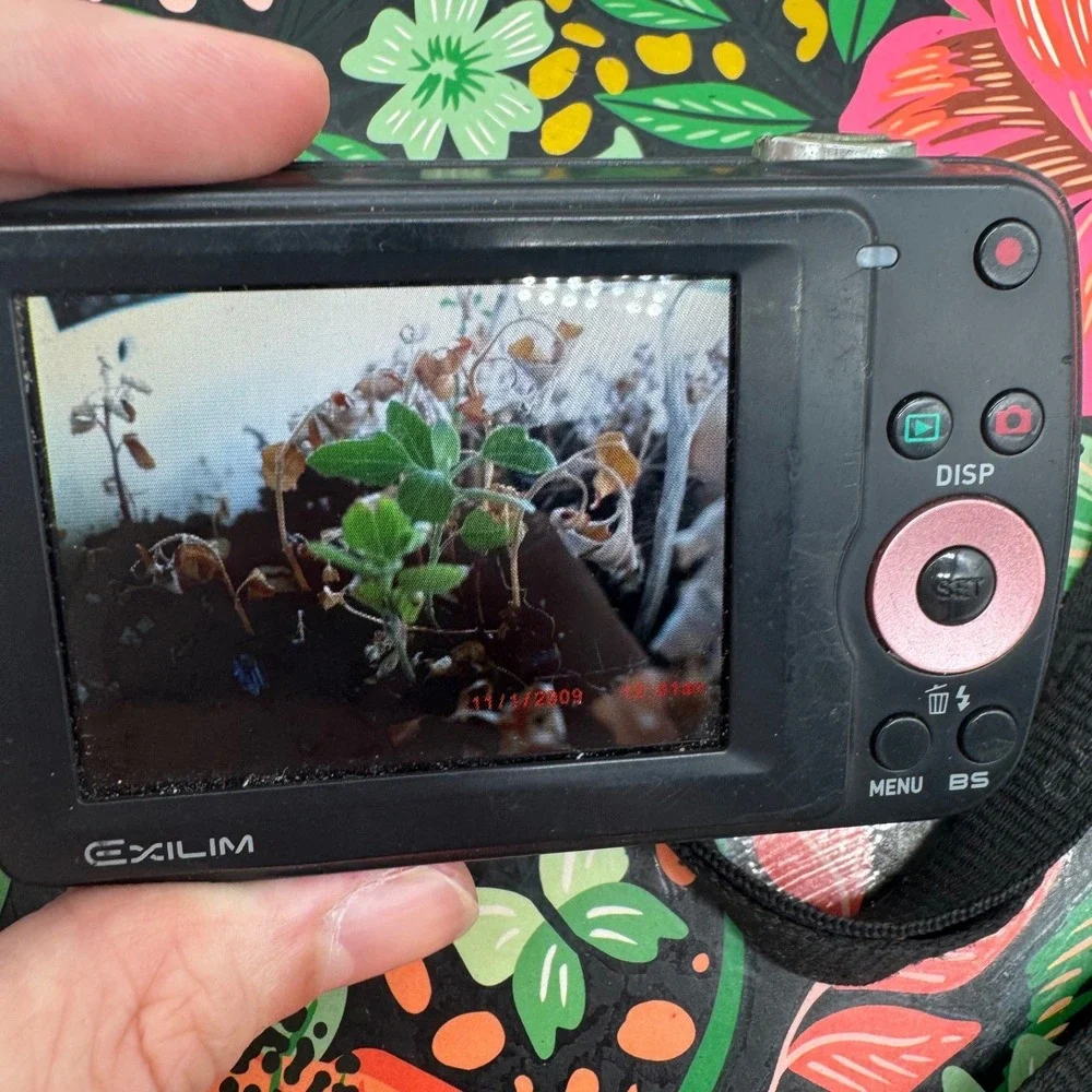 Casio exilim ex